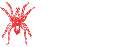 Anansi Writer